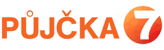 P7 logo